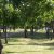 campingyuste (6)